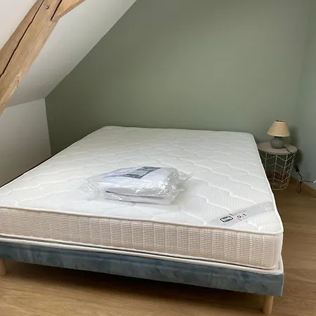 De Charme Pres Du Mans Pour 4 Avec Piscine Naturelle - Fr-1-410-473